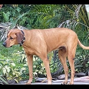 Meet your Posher, Carolyn